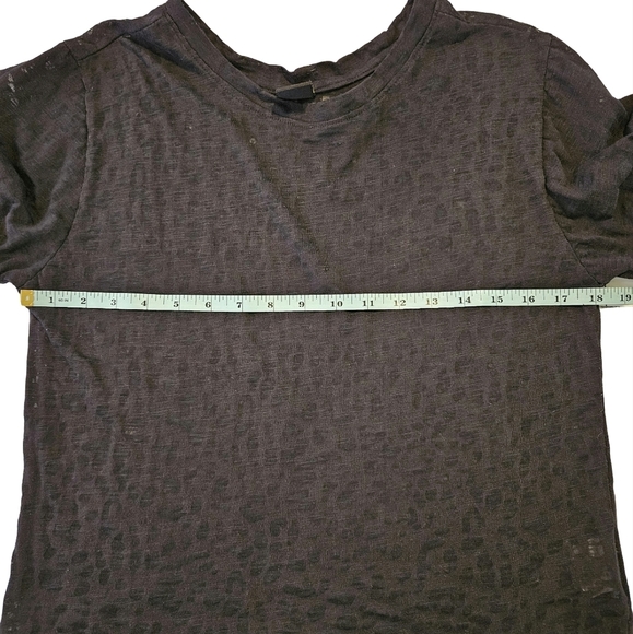 Semi Sheer Cropped Short Sleeve T Shirt, Black, Size 13 - Picture 6 of 7